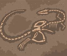Image result for Fossil Vector