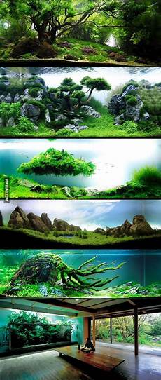 amano aquascape we lost the of modern aquascaping here is some of amano aquascape we lost the of modern aquascaping here is some of