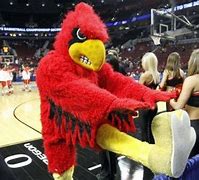 Image result for Louiville Mascot
