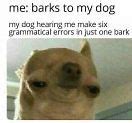 Image result for Dog Memes