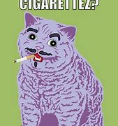 Image result for Diet Cat Meme