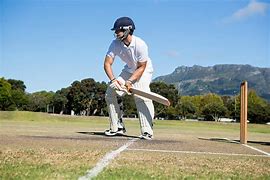 Image result for Leg Before Wicket Cricket