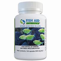Image result for Fishbiotic Amoxicillin