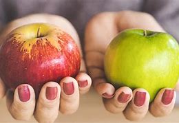 Image result for Comparing Life to Apple's