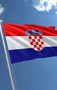 Image result for Independent State of Croatia Flag