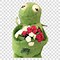 Image result for Kermit the Frog PNG