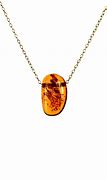 Image result for Amber Fossil Jewelry