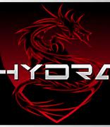Image result for Hydra Gaming Logo