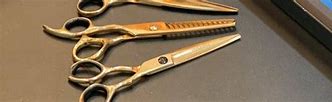 Image result for Expensive Scissors