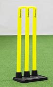 Image result for Proffesional Cricket Stump