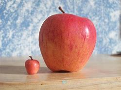 Image result for Clay Sculpture Apple