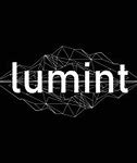 Image result for Lumint Corporation CEO