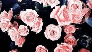 Image result for Girly Desktop Wallpaper Roses