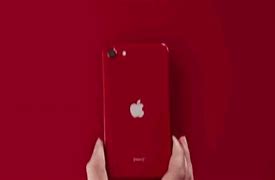 Image result for iPhone SE 2020 Back