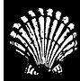 Image result for Shell Logo Evolution