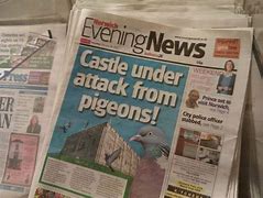 Image result for Local News Headlines