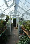 Image result for Tropical Green Glass House