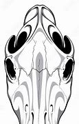Image result for Horse Skull Logo