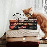 Image result for Harry Potter Cat Wallpaper