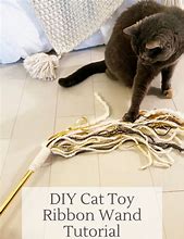 Image result for Cat Toy Ribbon