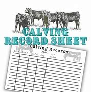 Image result for Calving Record Sheet