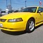 Image result for 2004 screaming yellow mustang