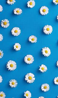 Image result for Flower Pattern iPhone Wallpaper
