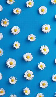 Image result for Flower Background for iPhone