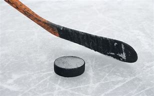 Image result for Hockey Puck Ball