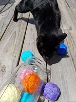 Image result for Easy Homemade Cat Toys