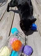 Image result for How to Make Homemade Cat Toys