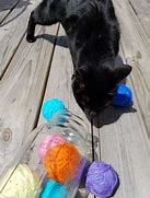 Image result for Homemade Catnip Toys for Cats