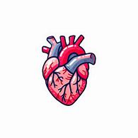 Image result for Anatomical Heart Stickers