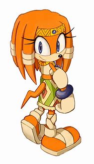 Image result for Funny Tikal the Echidna