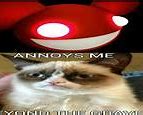 Image result for Grumpy Cat Grave