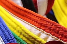 Image result for Colors of Karate Belts