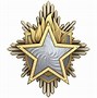 Image result for CS GO Service Medal