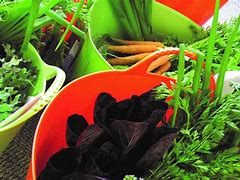 Image result for Local Organic Produce