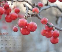 Image result for February Printable Calendar Page