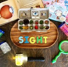 Image result for Five Senses Activity for Kids