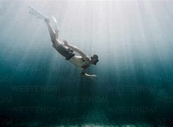 Image result for Man Swimming with Fish Underwater