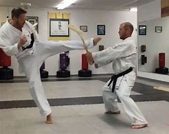 Image result for Karate Neck Break