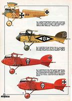 Image result for WW1 Aircraft Colors