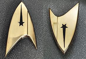 Image result for Star Trek Badge