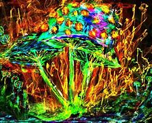 Image result for Mushroom Trip Visuals