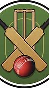 Image result for Cricket Bat Outline Drawing