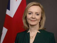 Image result for Liz Truss Dress