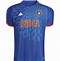 Image result for Cricket World Cup 2023 Jersey