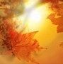 Image result for Cute Fall Autumn