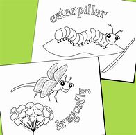 Image result for Cricket Insect Coloring Pages